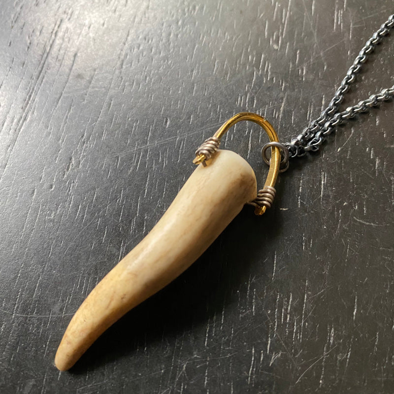 Deer on sale tooth necklace