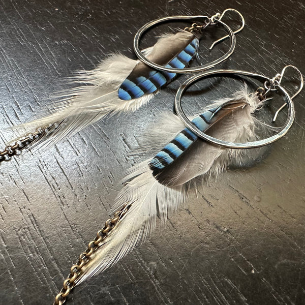 FEATHER EARRINGS: Small Silver Hoops, White base + Blue Jay accent feathers, Brass chains! OOAK #1