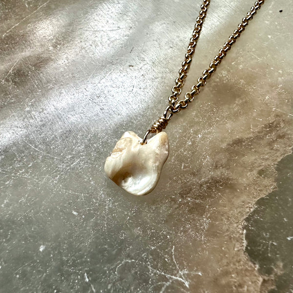 #1 Vermont Shell Remnant 14K Gold "Y" necklace, OOAK #1