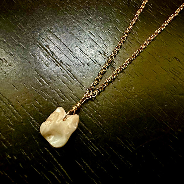 #1 Vermont Shell Remnant 14K Gold "Y" necklace, OOAK #1