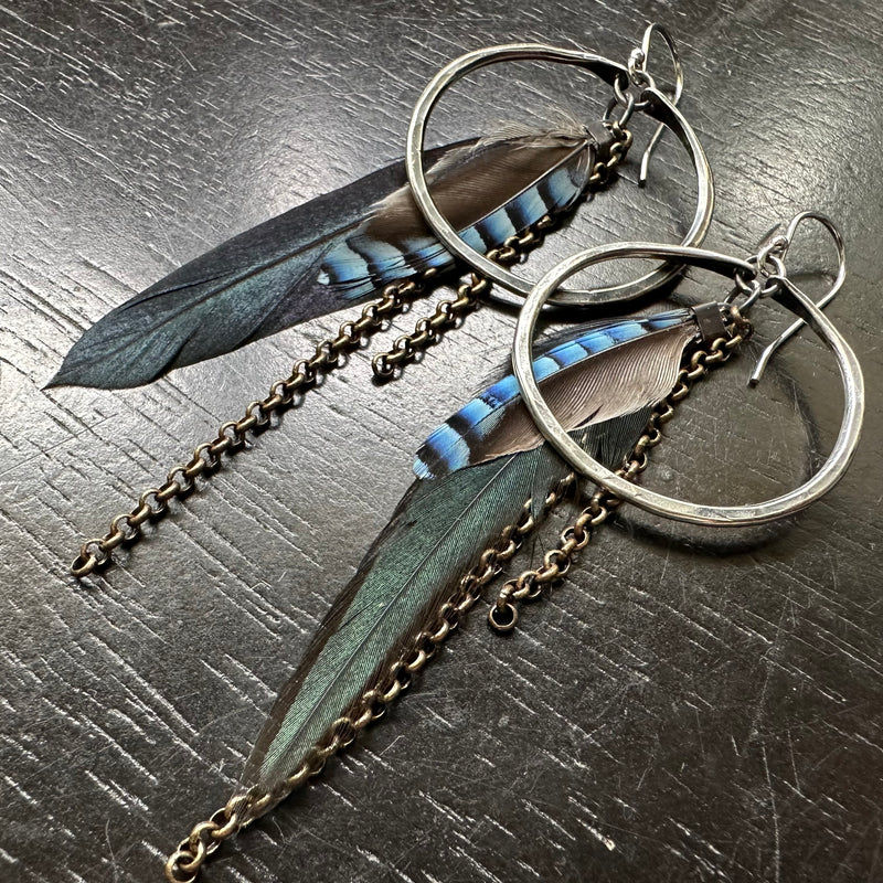 FEATHER EARRINGS: Small Silver Hoops, Iridescent Black/Green Base and Blue Jay Accent feathers and chains
