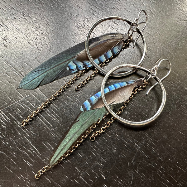 FEATHER EARRINGS: Small Silver Hoops, Iridescent Black/Green Base and Blue Jay Accent feathers and chains