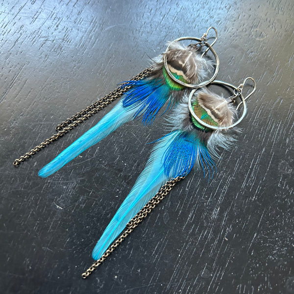 2025 FEATHERS! #2 SM Silver Hoops, BRIGHT Blues, Fluffy Parrot Feather Accents, Brass Chains! OOAK#2