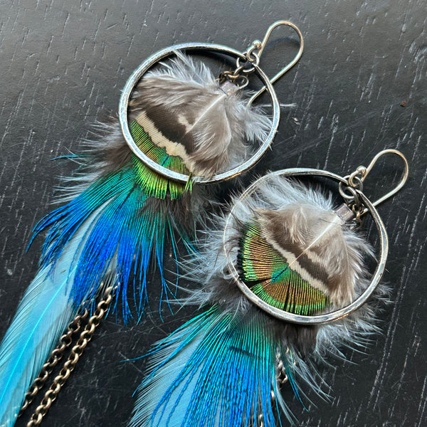 2025 FEATHERS! #2 SM Silver Hoops, BRIGHT Blues, Fluffy Parrot Feather Accents, Brass Chains! OOAK#2