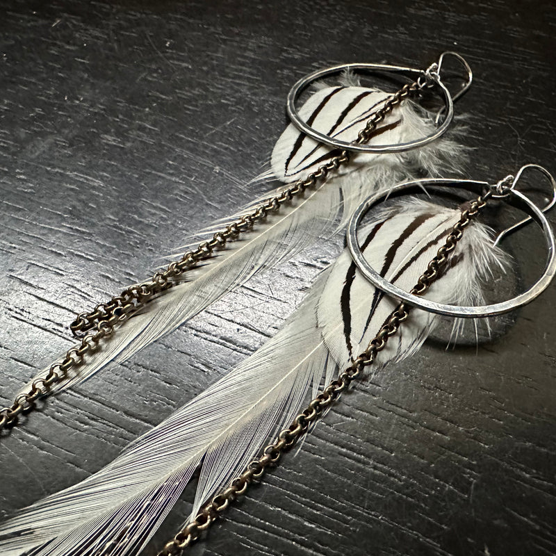 White and Brown Striped Feather Earrings with Small Silver Hoops