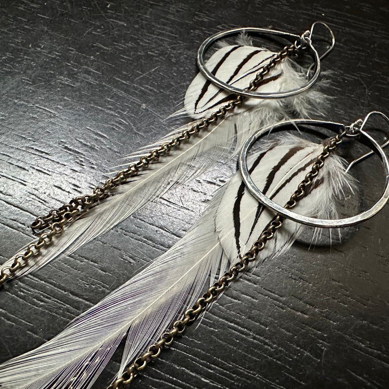 White and Brown Striped Feather Earrings with Small Silver Hoops