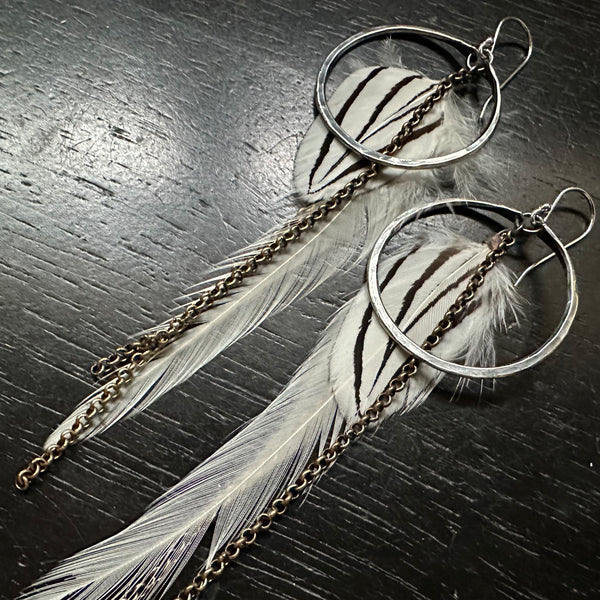 White and Brown Striped Feather Earrings with Small Silver Hoops