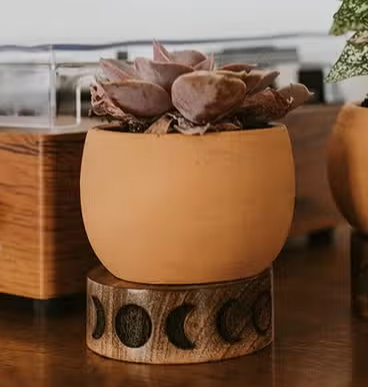 Moon Phase Terracotta Plant Pot & Wood Stand