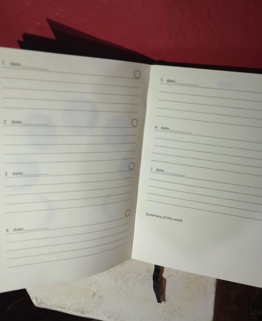 Large Moon Phase Daily Hardcover Journal, gold leaf Gilt edge, 5.5"x 8.5"