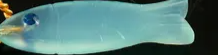 Found Object Side Charms