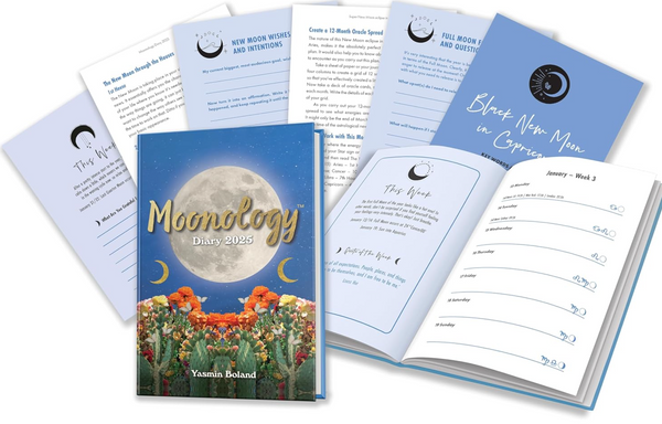 MOONOLOGY DIARY 2025