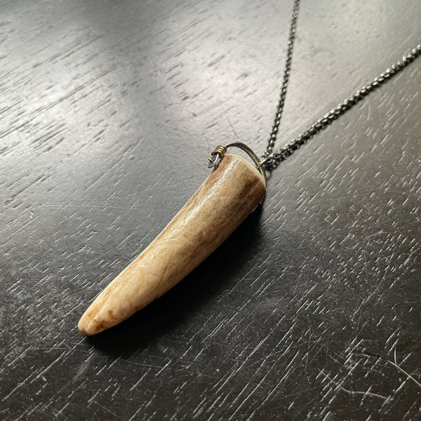 Deer Antler Tip Taliswoman Necklace #6